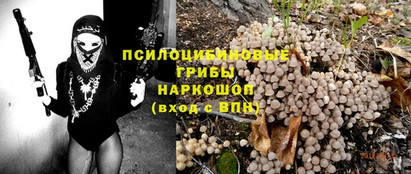 гидропоника Богданович