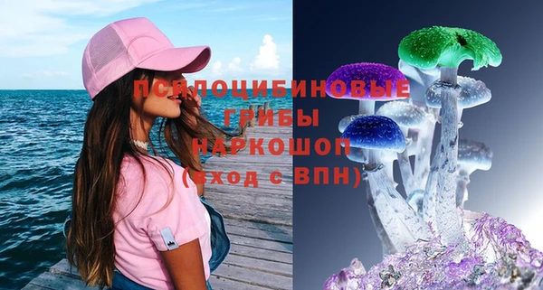 крисы Богородицк