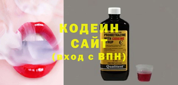 крисы Богородицк