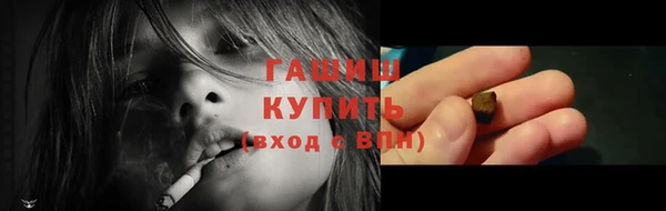 крисы Богородицк