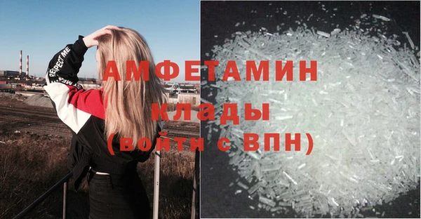 крисы Богородицк
