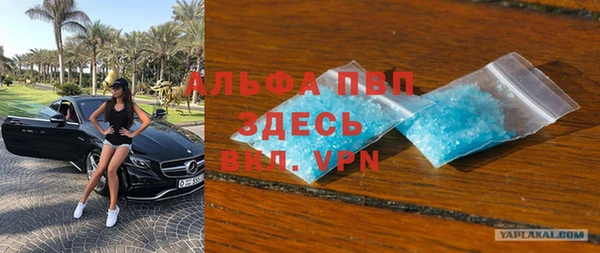 крисы Богородицк