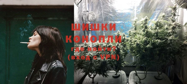 гидропоника Богданович