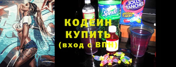 крисы Богородицк