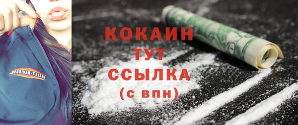 крисы Богородицк