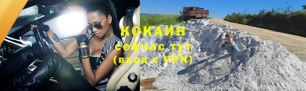 крисы Богородицк